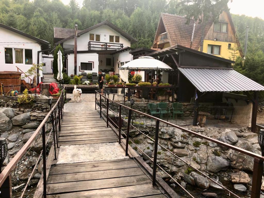 Villa Podul De Brazi - Fir Bridge Cîrţişoara Exterior foto