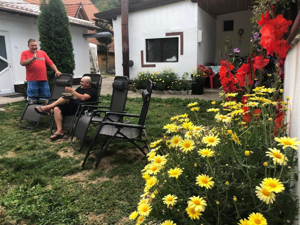 Villa Podul De Brazi - Fir Bridge Cîrţişoara Exterior foto