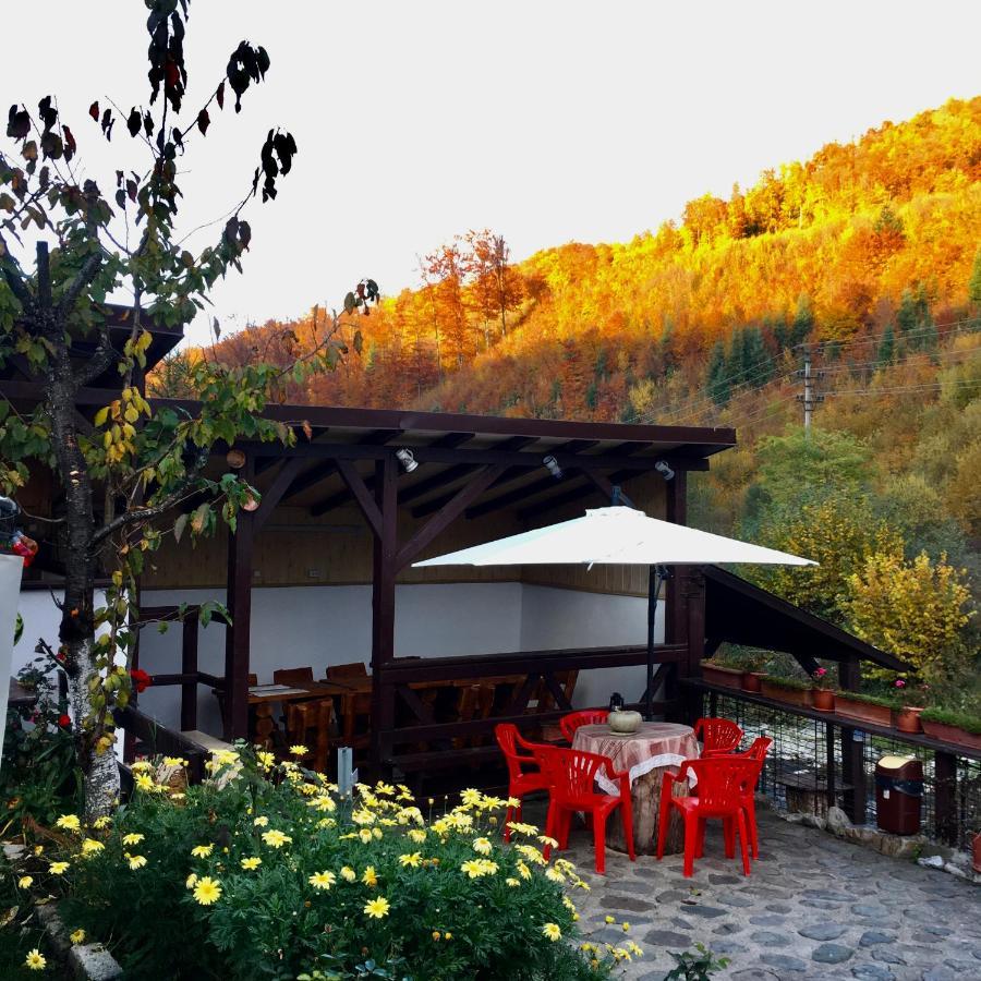Villa Podul De Brazi - Fir Bridge Cîrţişoara Exterior foto