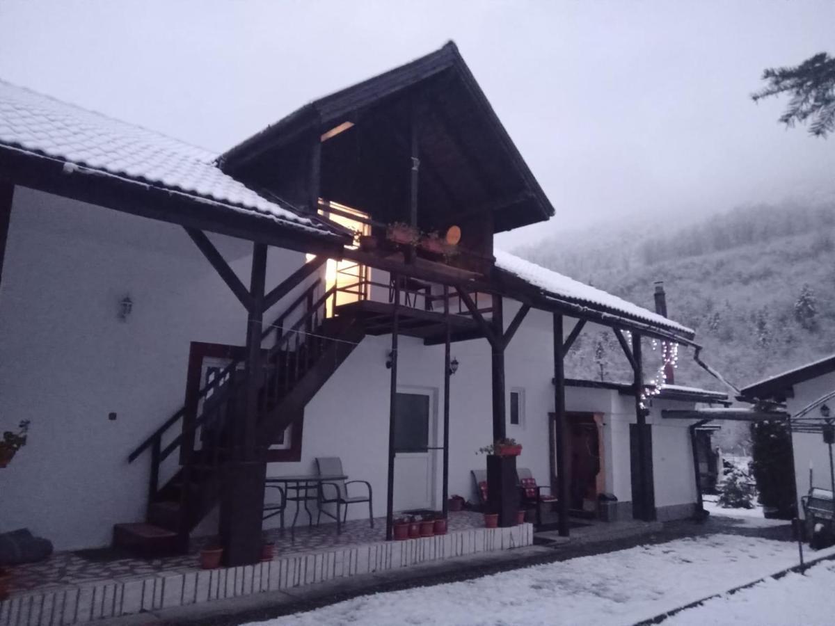 Villa Podul De Brazi - Fir Bridge Cîrţişoara Exterior foto