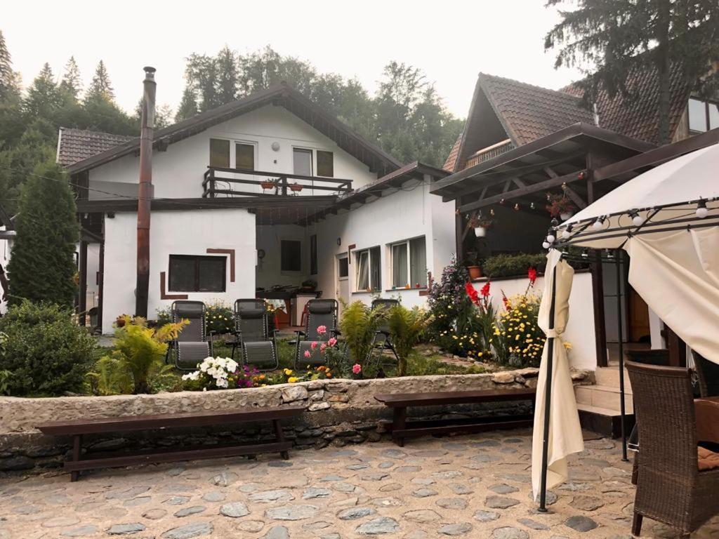 Villa Podul De Brazi - Fir Bridge Cîrţişoara Exterior foto