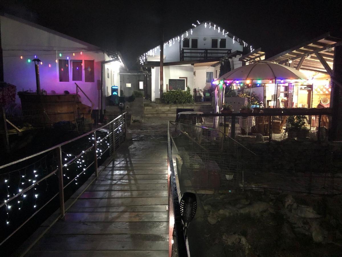 Villa Podul De Brazi - Fir Bridge Cîrţişoara Exterior foto