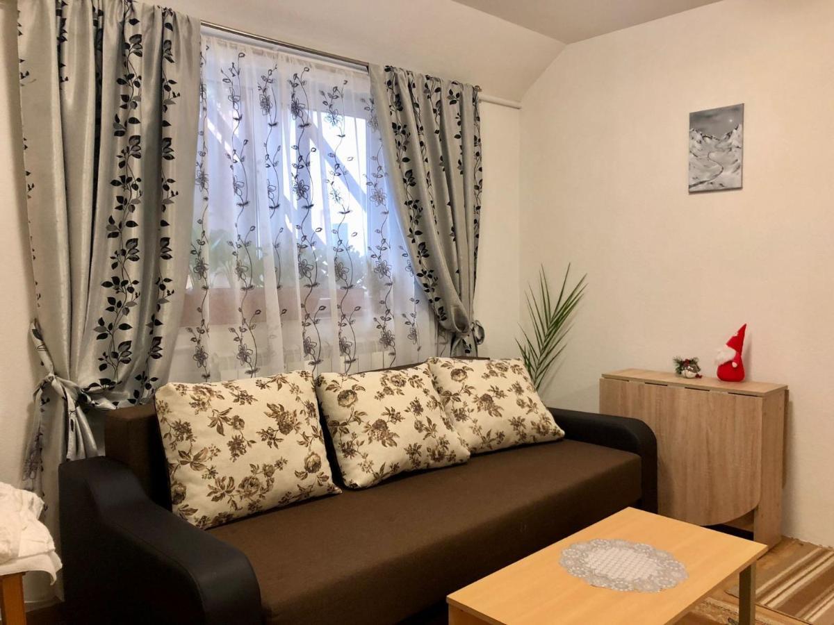 Villa Podul De Brazi - Fir Bridge Cîrţişoara Exterior foto