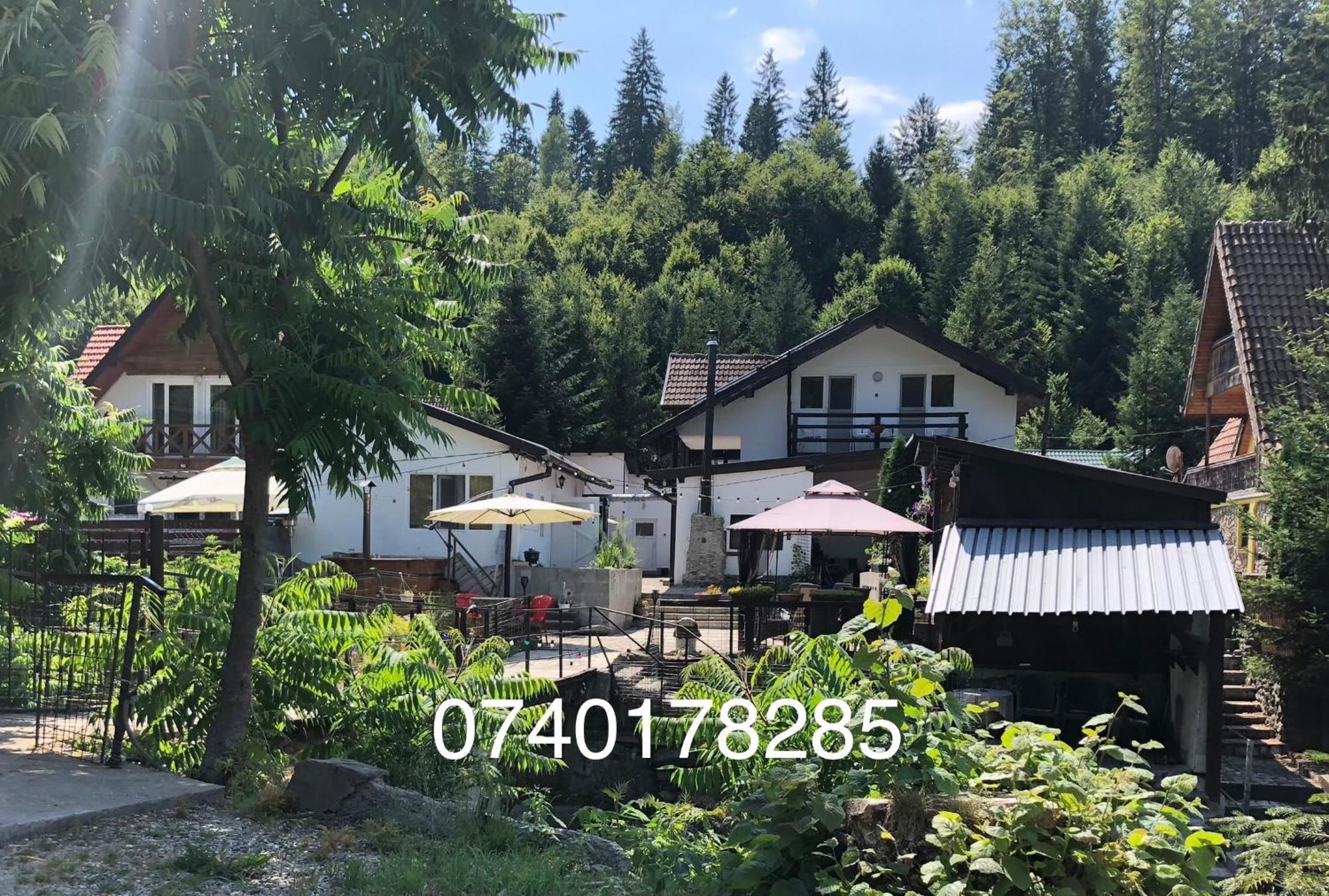 Villa Podul De Brazi - Fir Bridge Cîrţişoara Exterior foto
